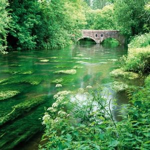 The River Wylye, Boyton Bridge
