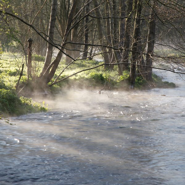 Fonthill Brook Tisbury