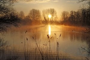 Golden Sunrise, Langford Lakes