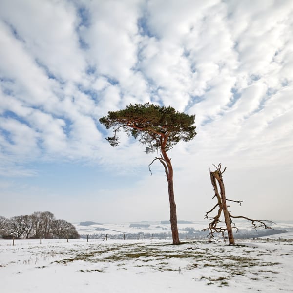 Hadden Hill Great Wishford