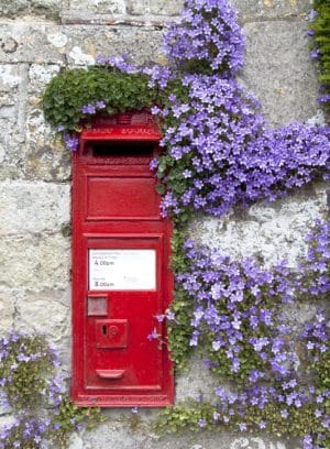 Post Box and Campanula