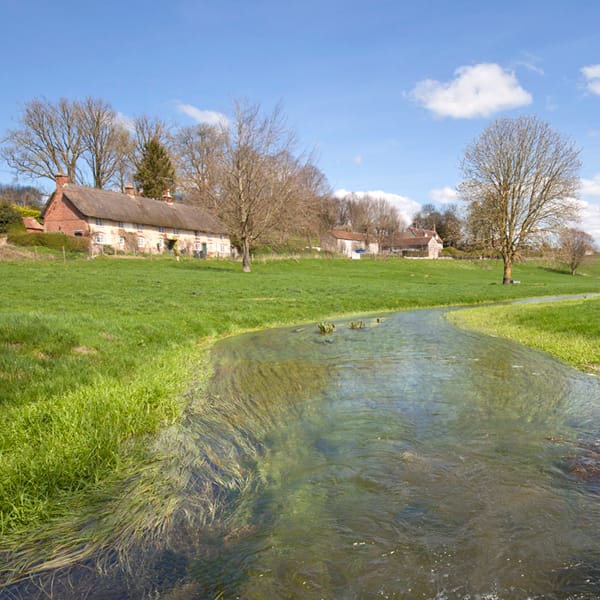 The River Ebble Fifield Bavant