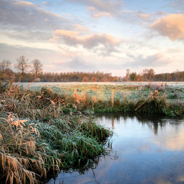 River Wylye Hanging Langford