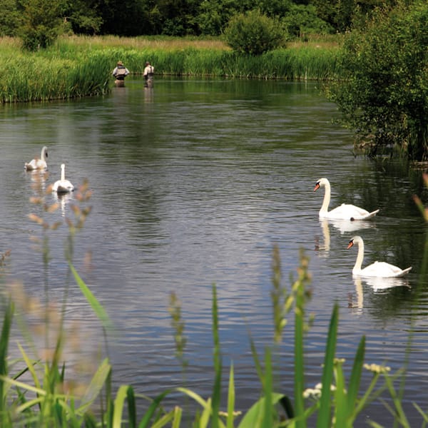 The River Wylye between Stapleford and Great Wishford