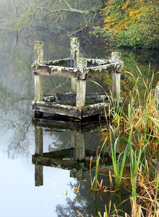 Still Waters Fonthill Lake