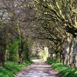 The Wessex Ridgeway, Corton Hill