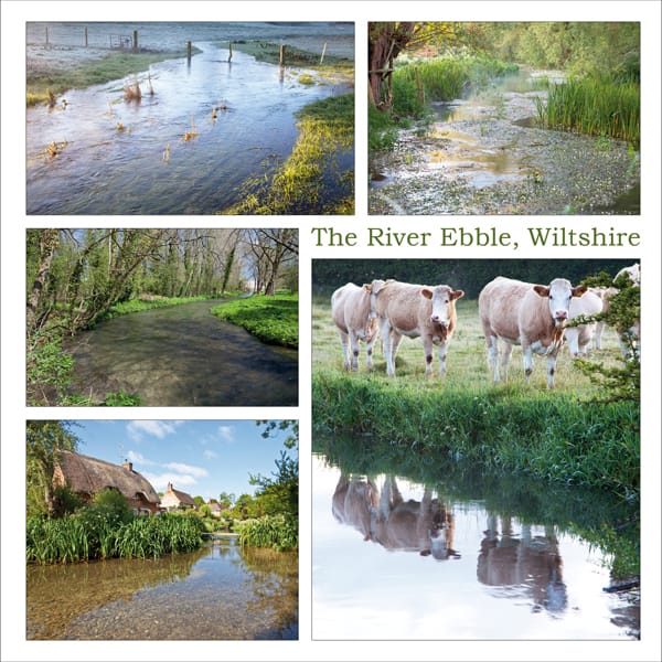 The River Ebble Wiltshire