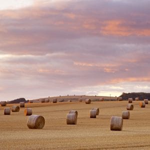 Straw Bales, Tytherington