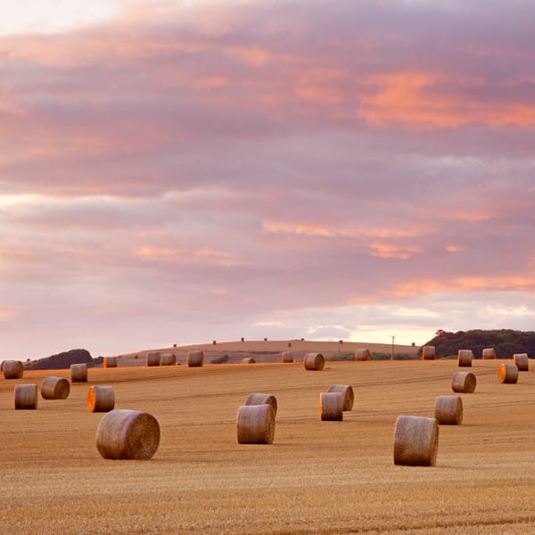 Straw Bales Tytherington