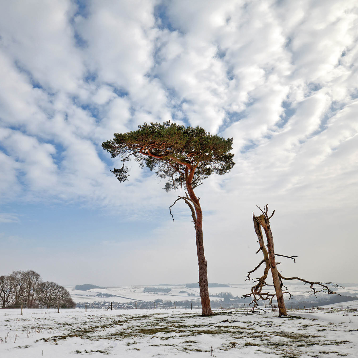 Hadden Hill, Great Wishford