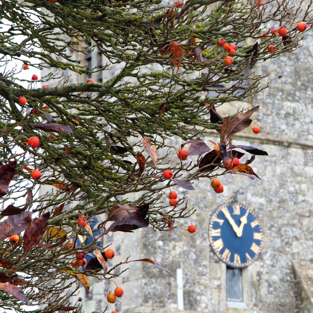 St Giles Church, Great Wishford