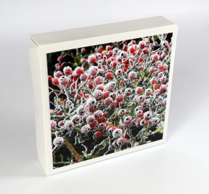 Hawthorn berries