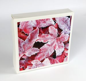 Liquidambar leaves
