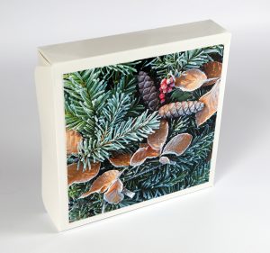 Pine needles and beech leaves