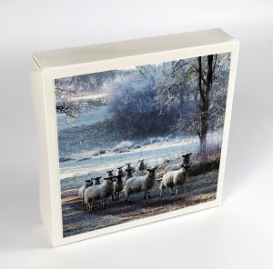 Sheep at Fonthill